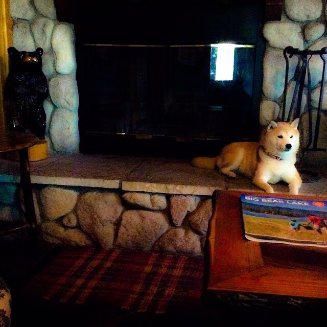 九游用户空间-_双人五局赛：快速节奏带来不同体验_，双人对战五子棋攻略