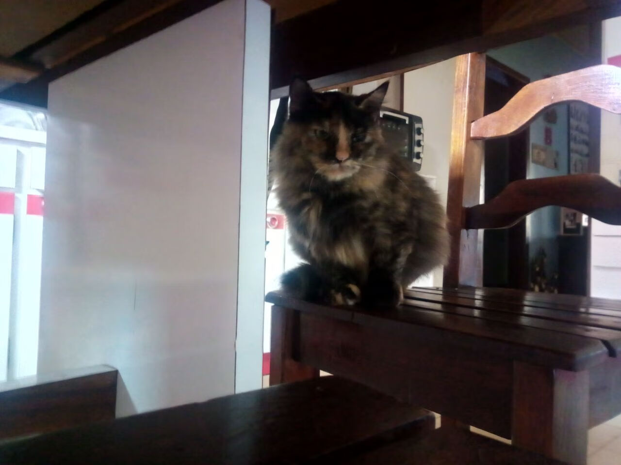 九游网游官网-中国青少年篮球精英赛在多地举办，锻炼未来行业骨干，2021全国青少年篮球邀请赛