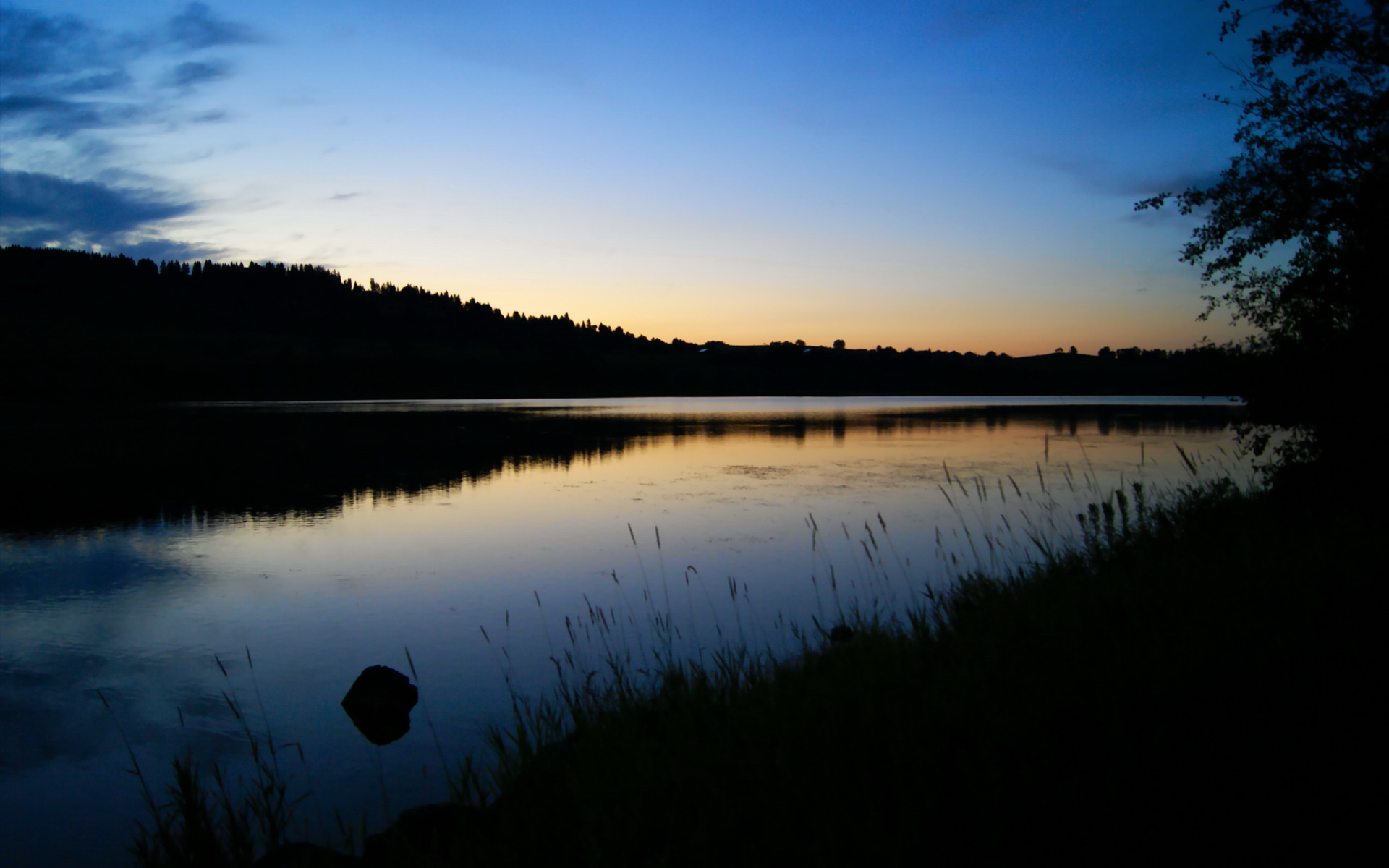九游网-南非橄榄球队在世界杯中止步四强，南非橄榄球队在世界杯中止步四强是谁
