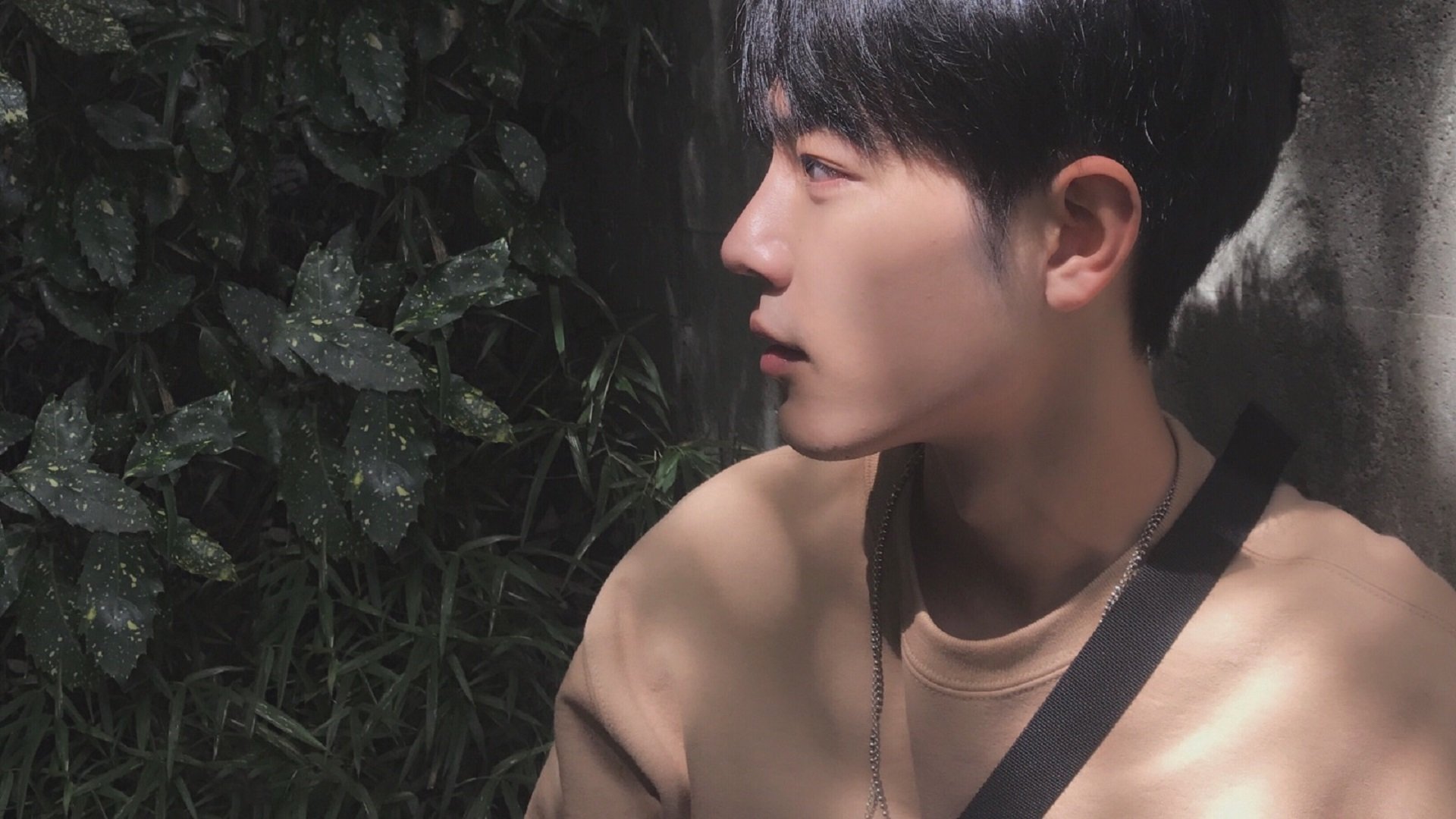 墨西哥马术协会推出马匹健康管理系统,提升马匹福利。,墨西哥马拉松运动员