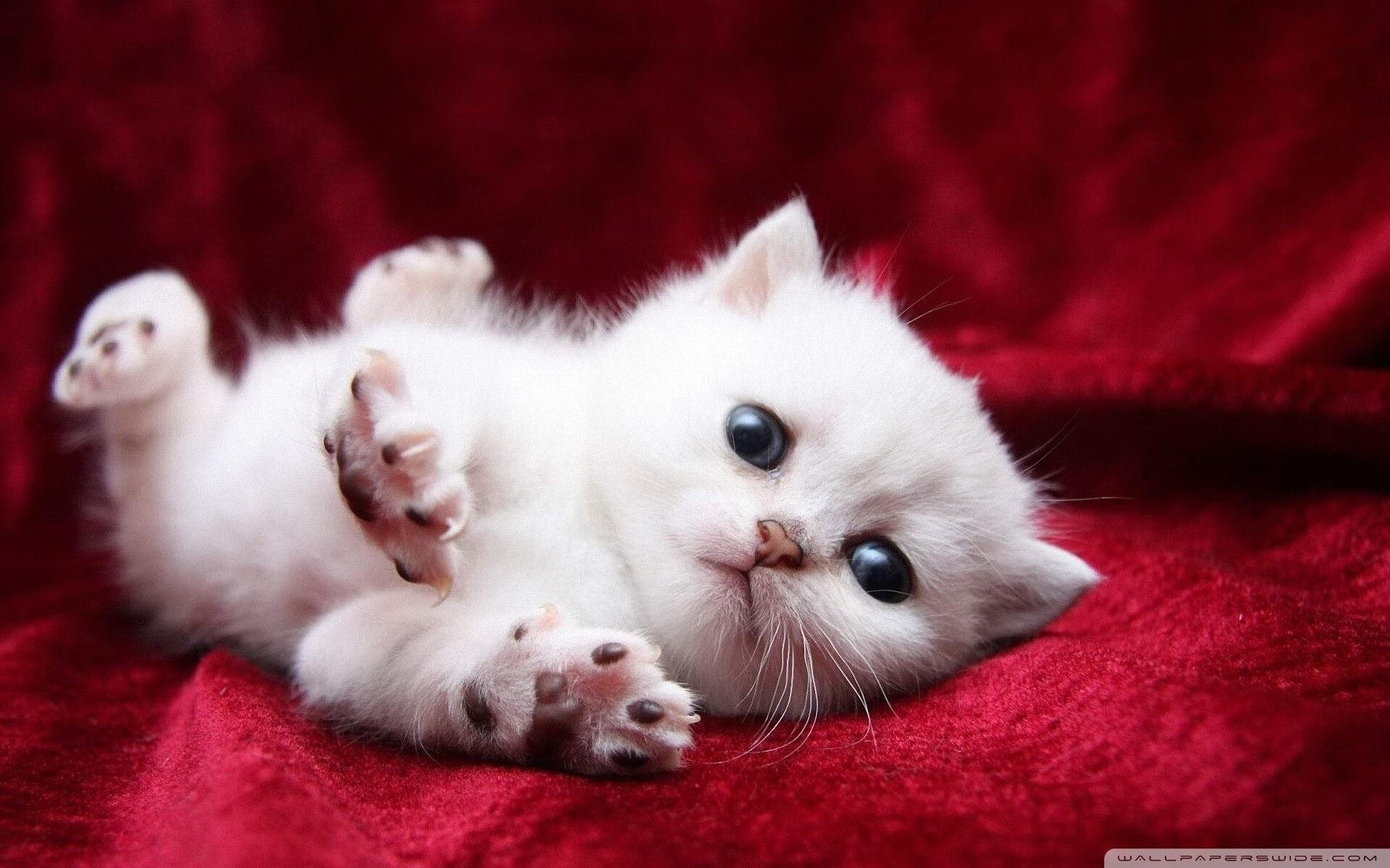 九游网页版入口-意甲战术灵活多变，球员表现堪称全场最佳，意甲球队阵容