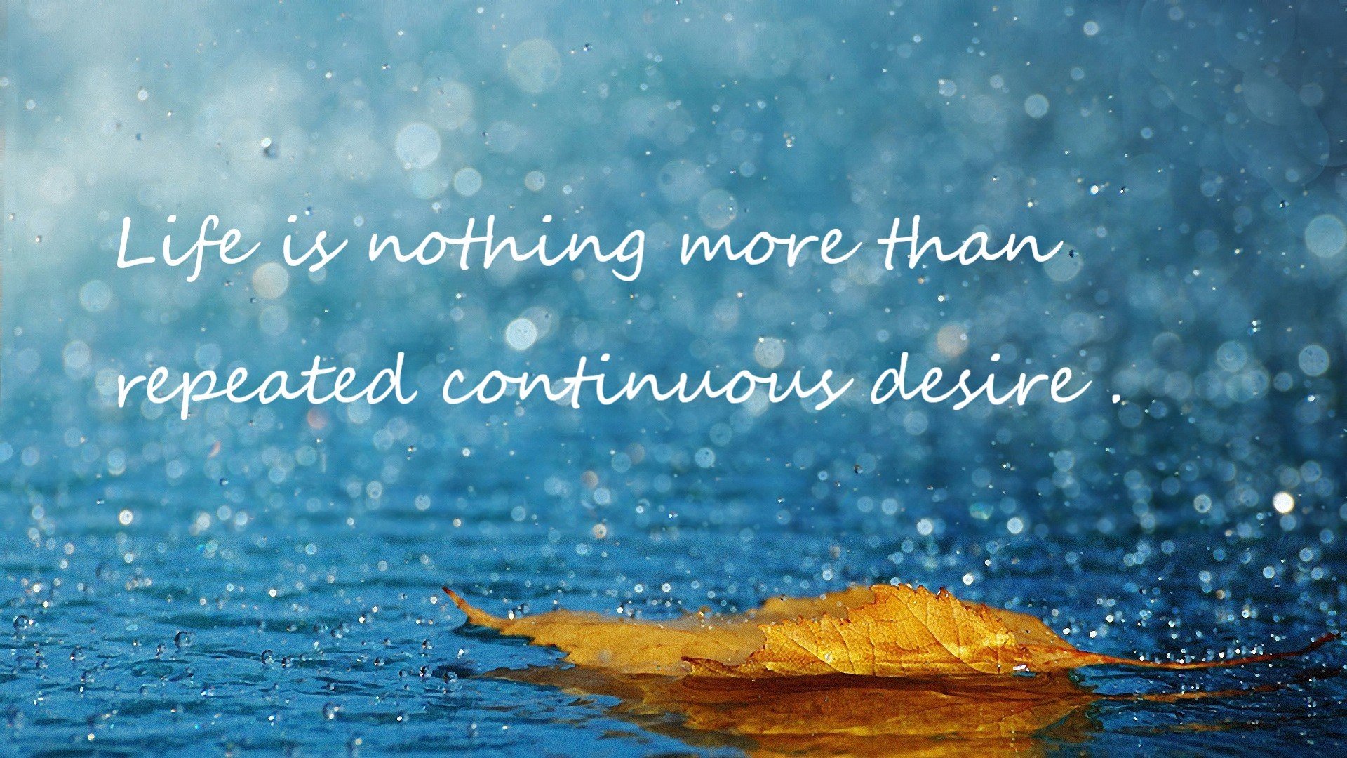 电竞行业的国际化:跨文化交流与全球竞争,国际化 电竞