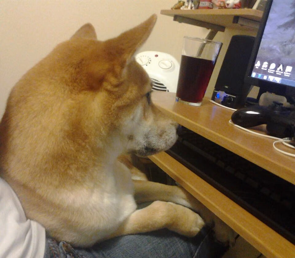 九游网页版官网-训练秘籍：球队是如何打造“铁人”的？，铁人比赛