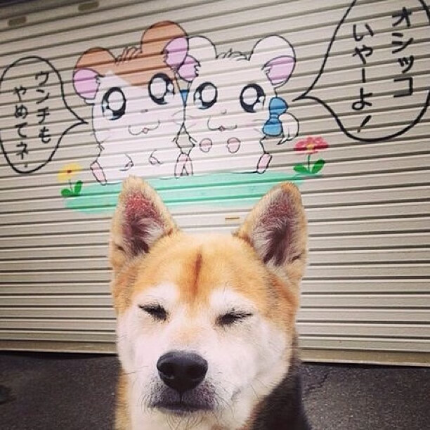 九游娱乐(jiuyou)官方网站-格鲁吉亚男足击败波兰，欧预赛中再爆冷门，格鲁吉亚足球队实力