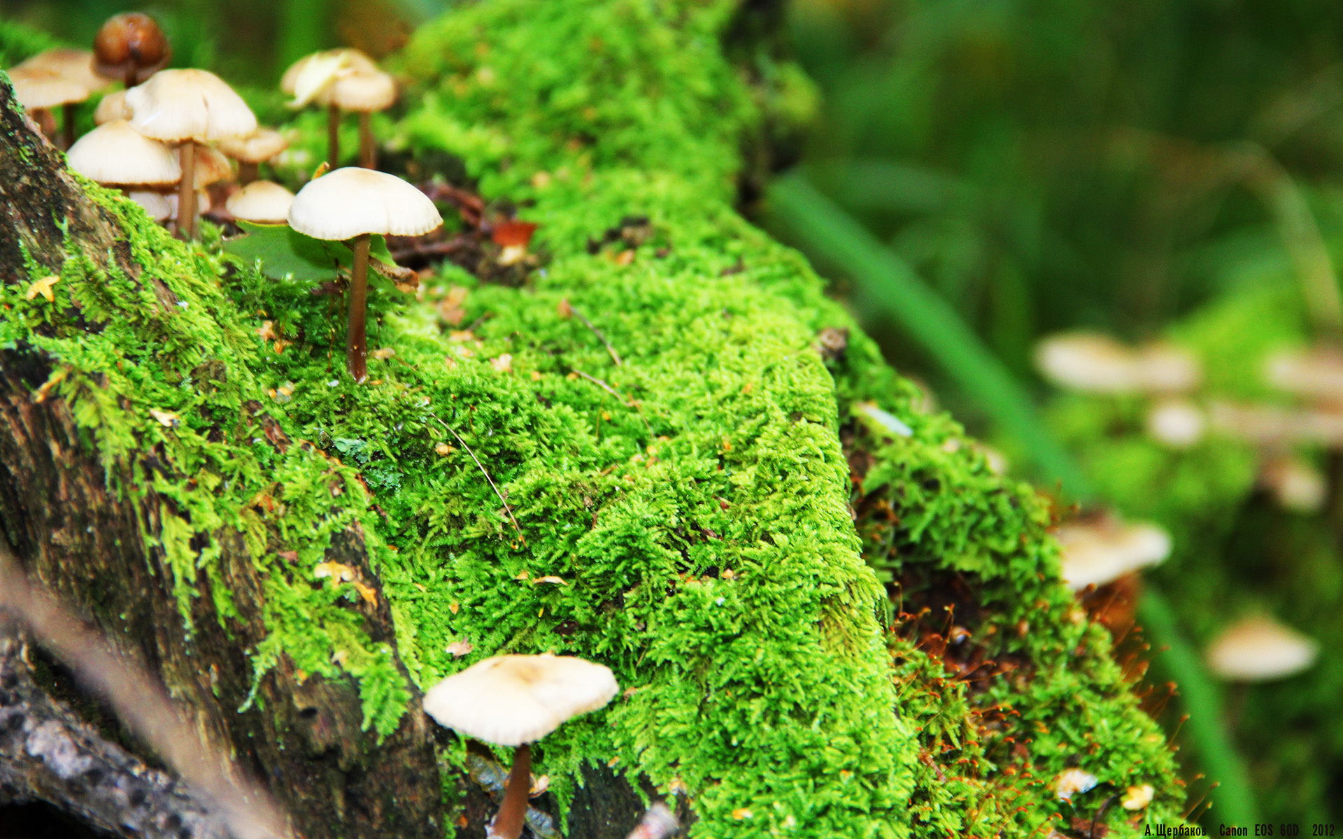 九游网-欧国联比赛：克罗地亚队淘汰瑞士队，欧洲世预赛克罗地亚