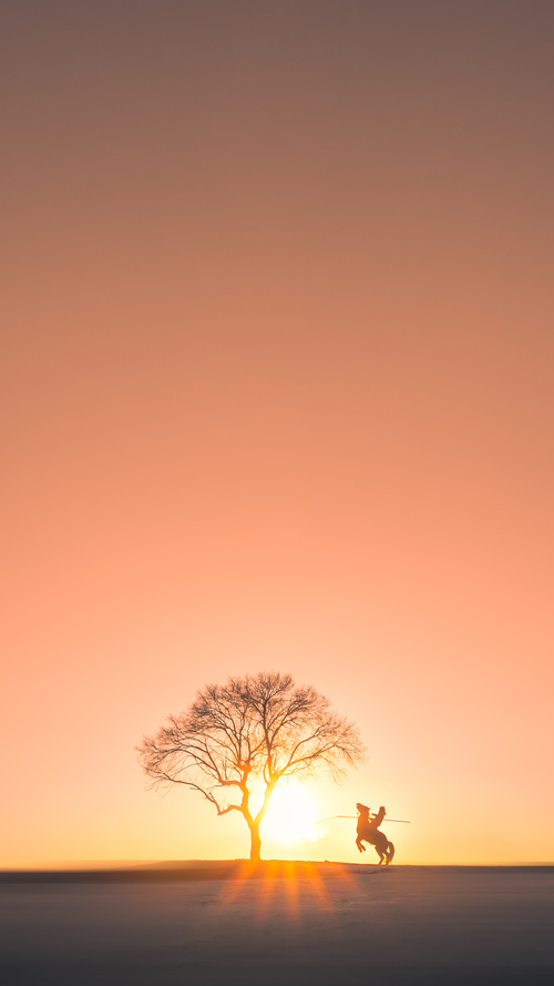 Jiu You-火箭队战术调整不断，寻找最佳打法，火箭队官方网站