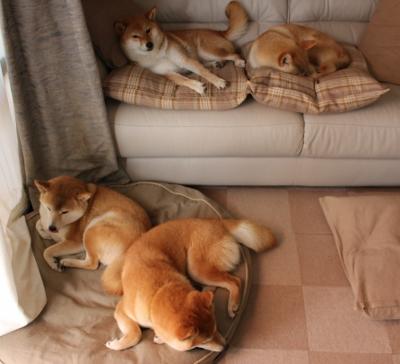 费耶诺德在与阿尔克马尔的比赛中3-2获胜，展现强劲实力。，费耶诺德对阿尔马克