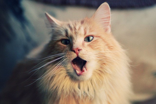 压迫防守下如何调整持球节奏应对，足球比赛压迫式防守特点