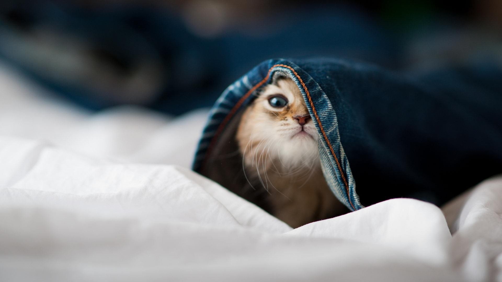 基层足球场地不足制约发展速度,足球场地建设情况汇报材料