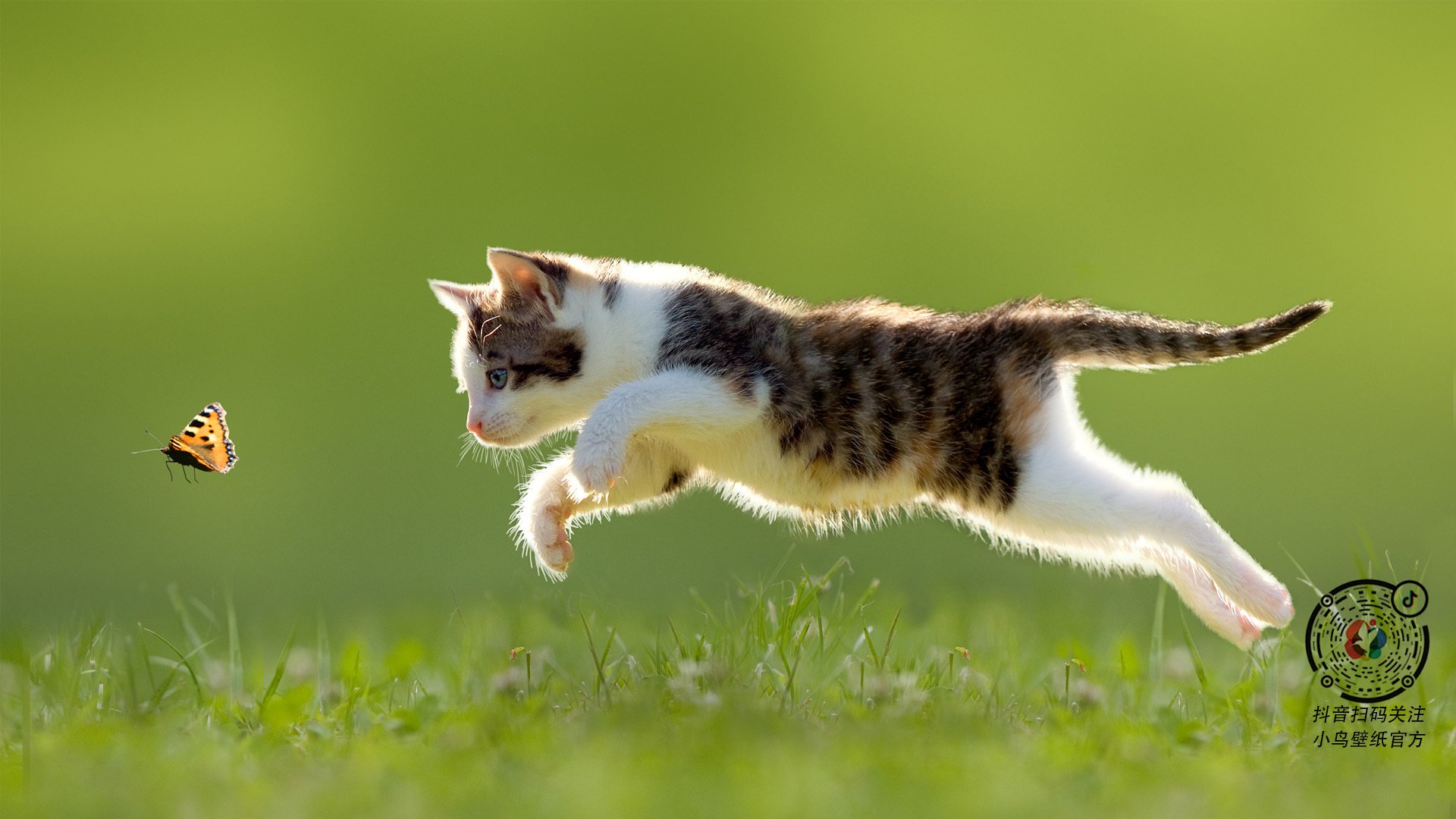 九游app下载中心-季后赛防守最难被攻破的防线揭秘，季后赛打什么