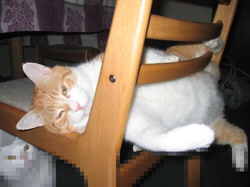 乌拉圭男篮在南美锦标赛中持续进步,篮坛新星纷纷现身,乌拉圭男篮实力