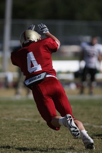 九游登录中心-校园足球支持学生裁判项目拓展多元职业通路，普通高校足球专业学生裁判能力的培养