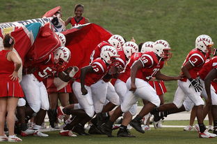 九游app下载-世界青少年星际滑板赛在上海火热举行,中国青少年滑板比赛视频